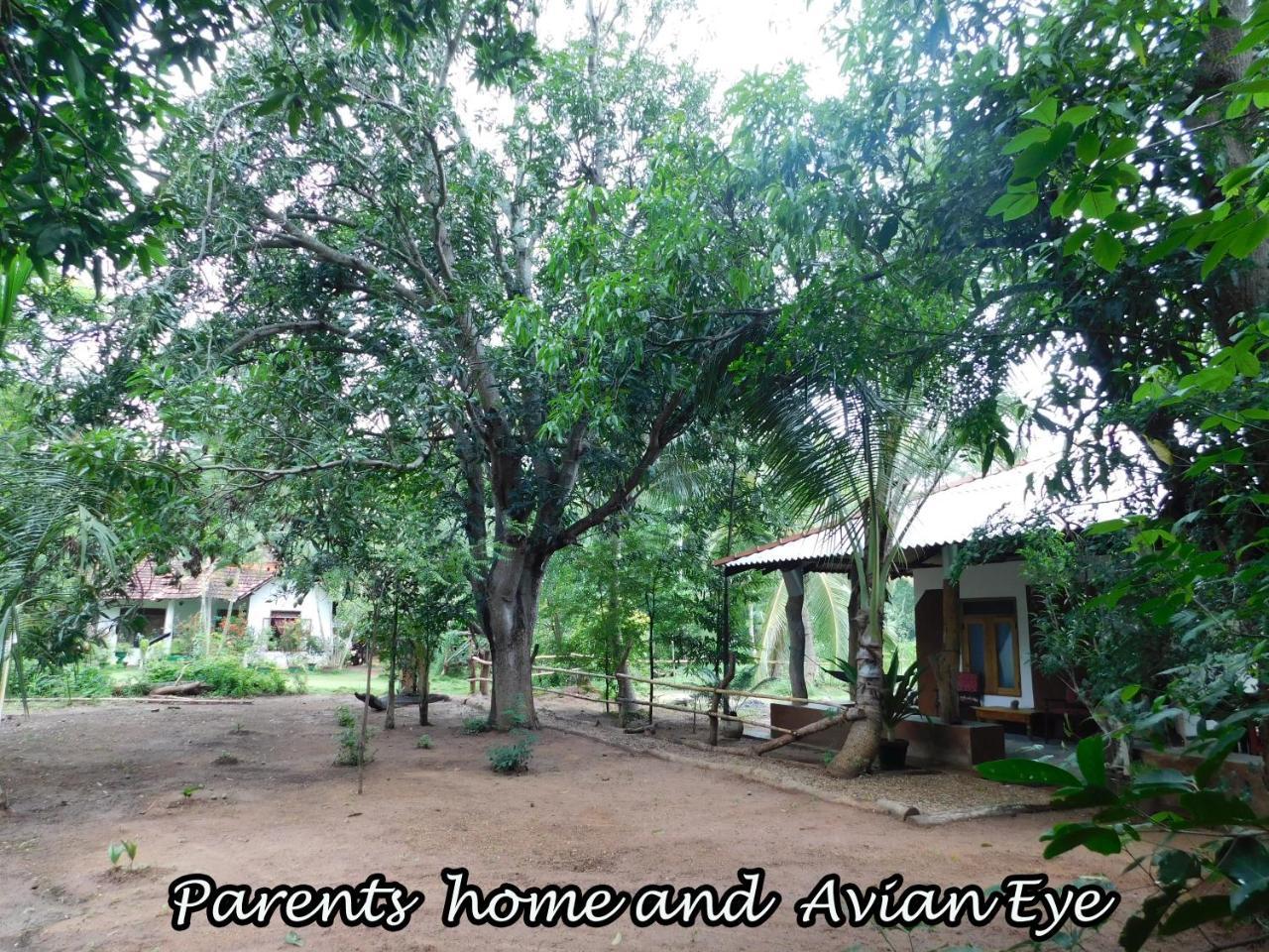 Apartamento Yala Avian Eye Safari Buttala Exterior foto