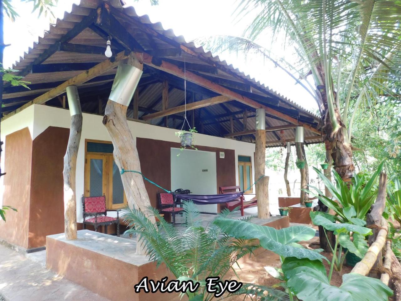 Apartamento Yala Avian Eye Safari Buttala Exterior foto